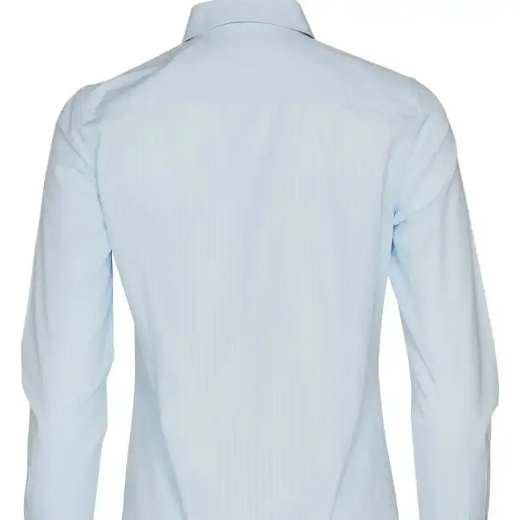 Picture of Winning Spirit, Ladies Self Stripe L/S Shirt